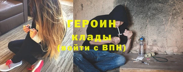 прущие грибы Вязники